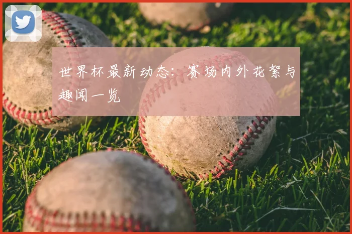 世界杯最新动态:赛场内外花絮与趣闻一览