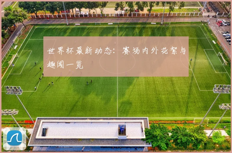 世界杯最新动态：赛场内外花絮与趣闻一览
